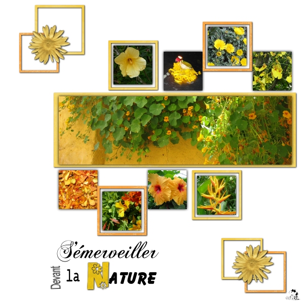 Défi Max - couleur jaune