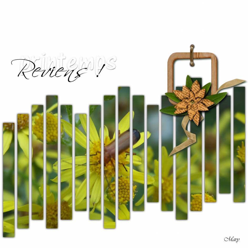 Défi Max couleur jaune