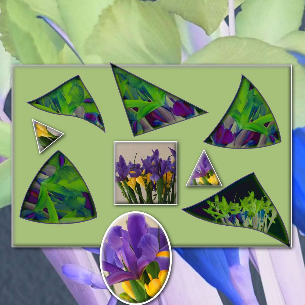 defi-max couleurs inversée