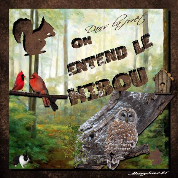 DÉFI MAX - Dans la forêt