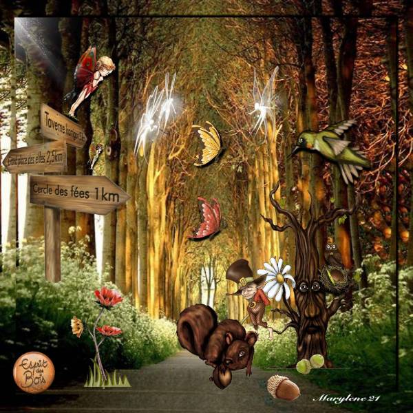 Défi Max - ESPRIT DES BOIS