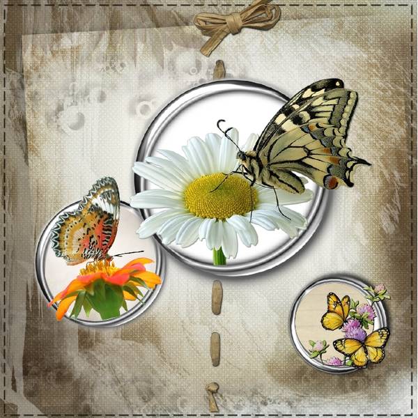 Défi Max fleurs papillon