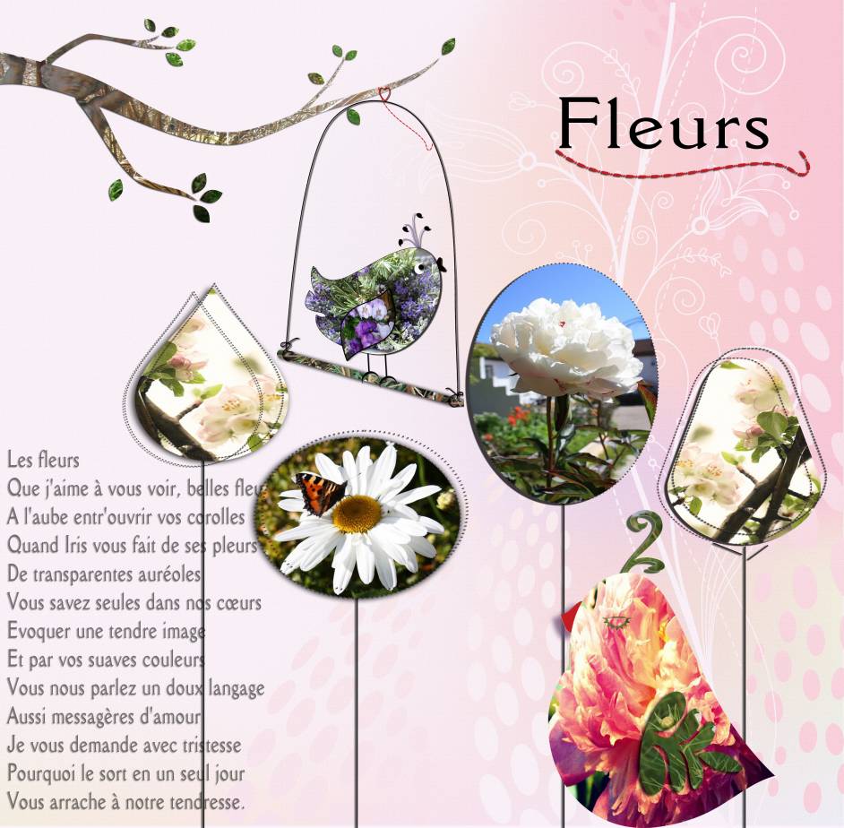 Defi Max fleurs