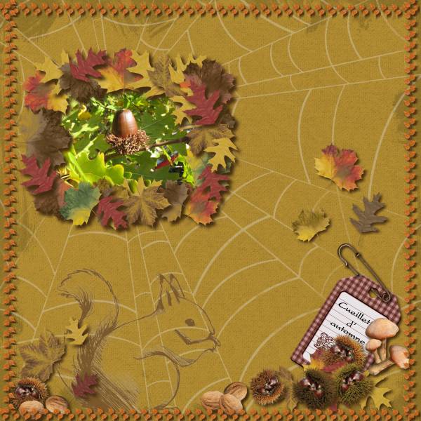 Défi Max forêt et SS4