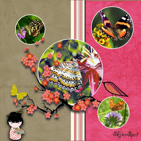 Défi Max insecte et fleur 2