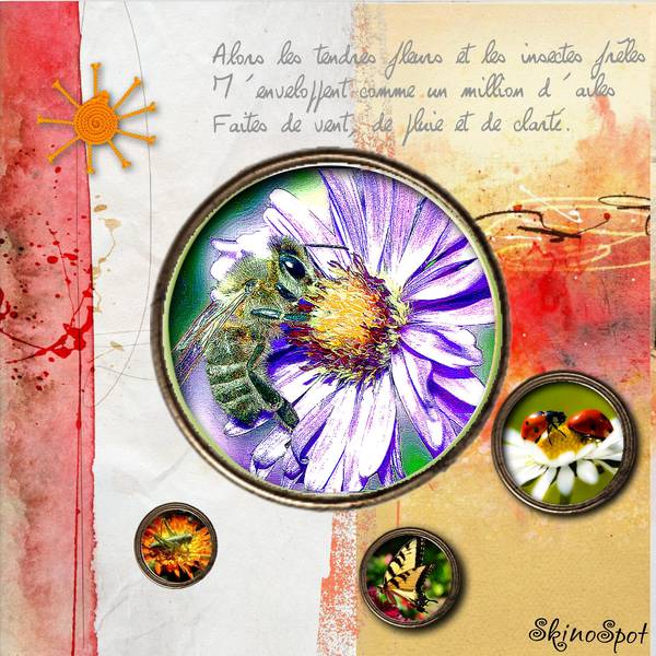 Défi Max insecte et fleur