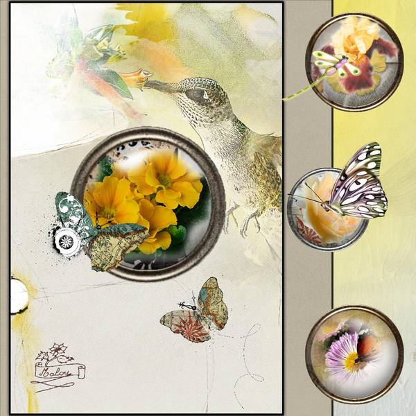 Défi Max (insectes -fleurs) n° 2