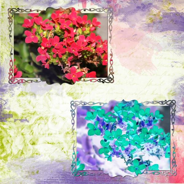 Défi Max - Inverser les couleurs