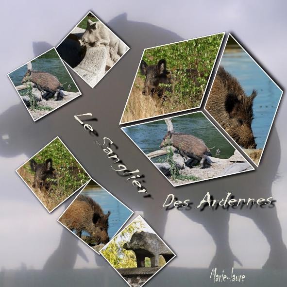 Défi Max  -- Le Sanglier  des Ardennes --