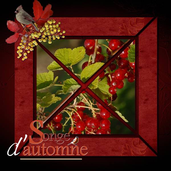 Défi Max - Petits fruits d'automne