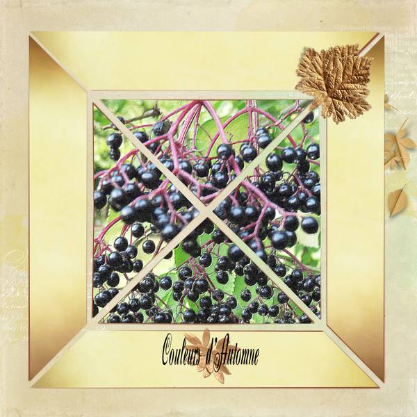 Défi Max - petits fruits d'automne.