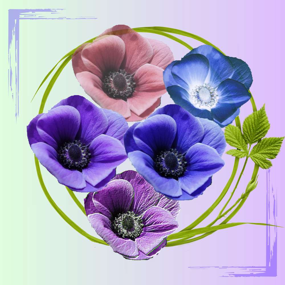 défi Max  ...... peut être