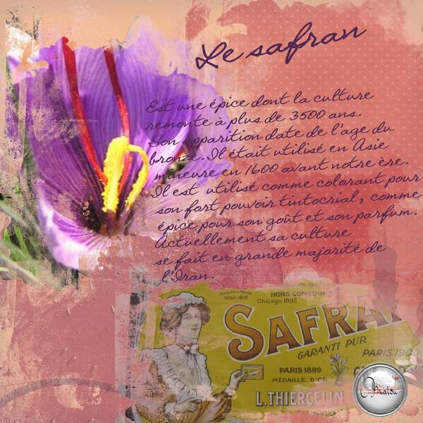 Défi Max (plantes colorantes et alimentaires)