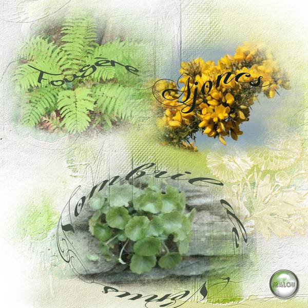 Défi Max : Plantes sauvages