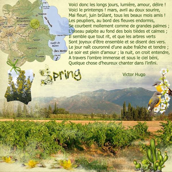 DEFI MAX POLYCHROMIE