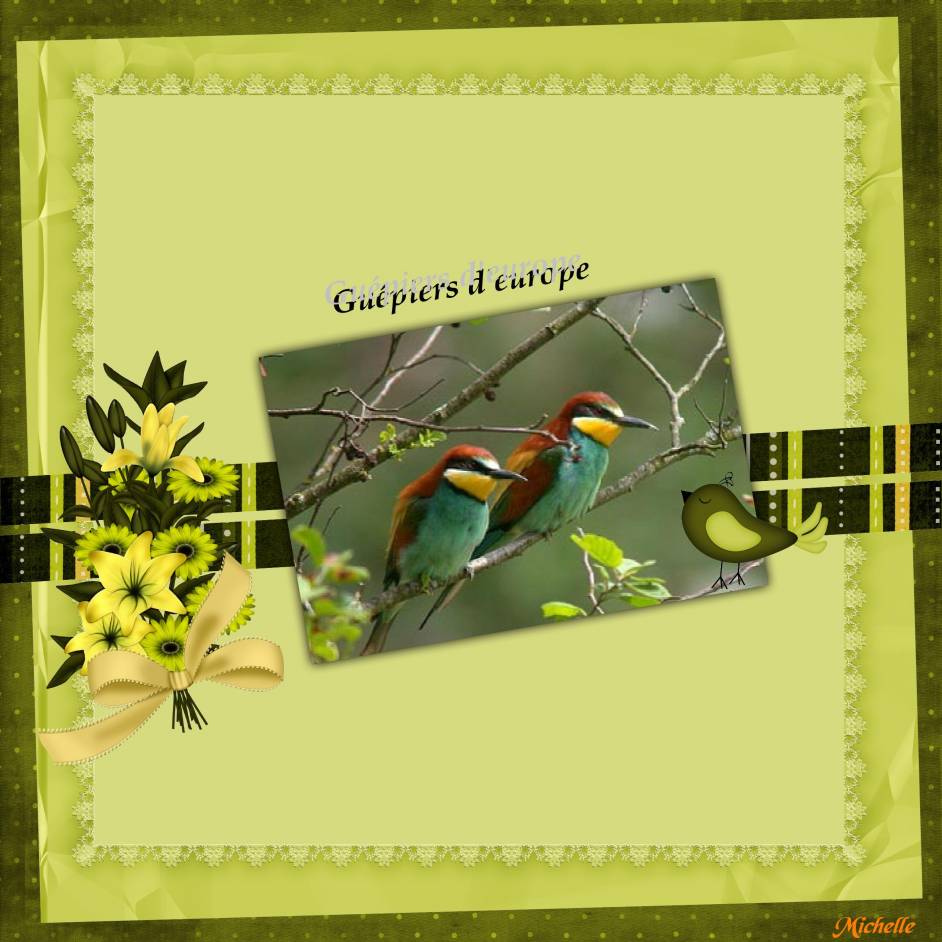 défi max "animaux sauvages"