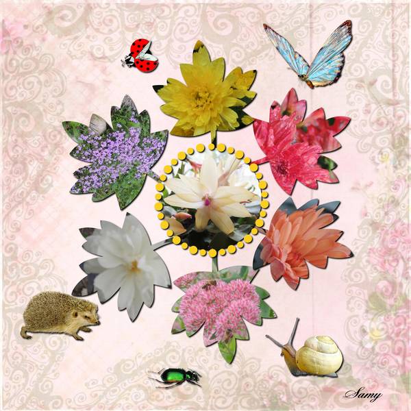 défi Max rond fleuri solaire