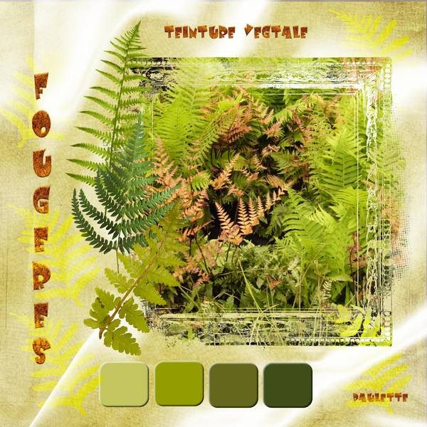 defi max teinture végétale