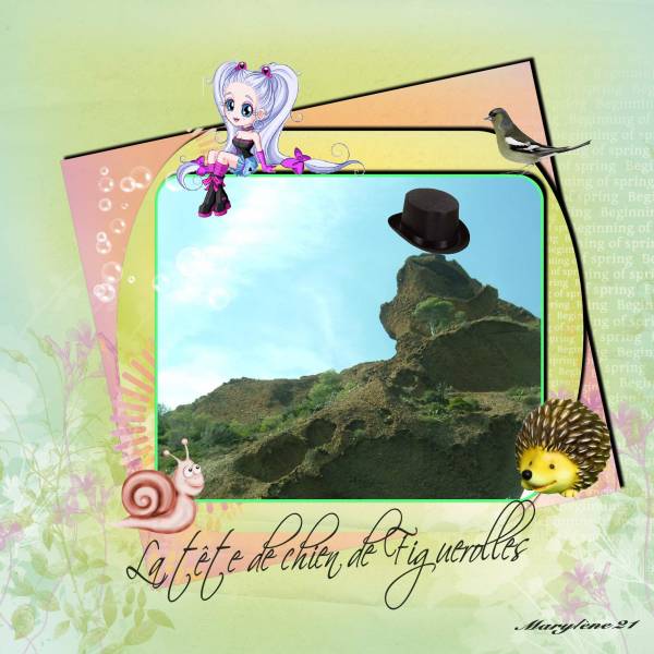 DÉFI MAX - TÊTE DE CHIEN