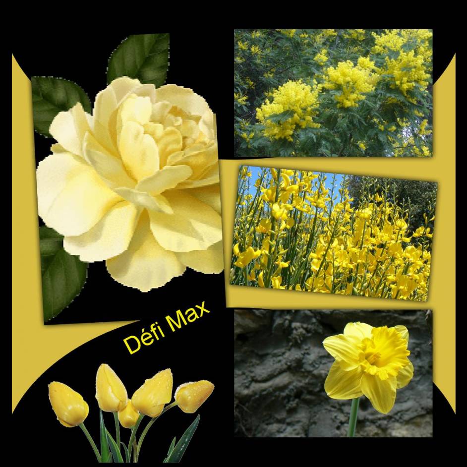 Défi Max