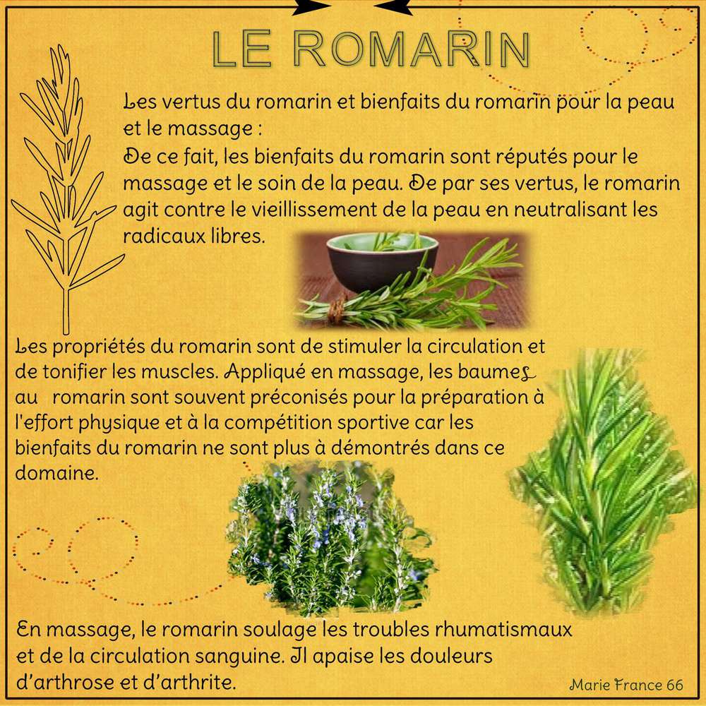 DEFI MEDICINAL MAMYROSE