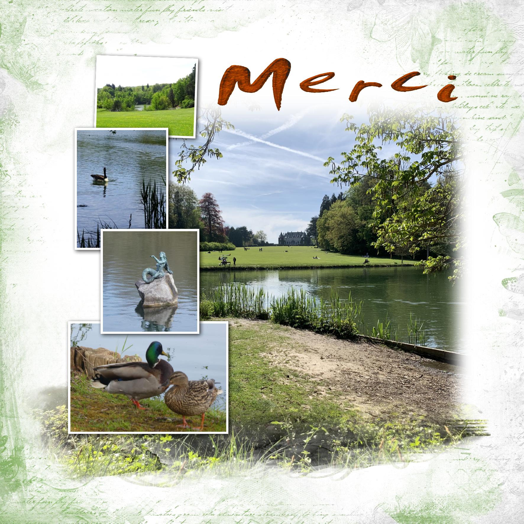 défi merci.jpg