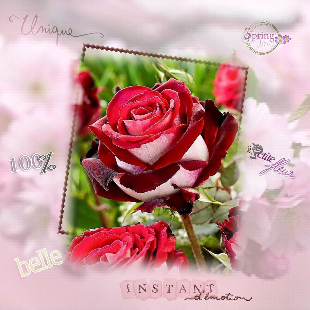 défi mimi janvier 2018