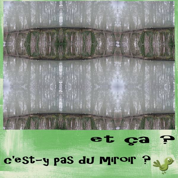 défi miroir !