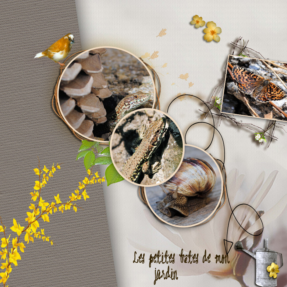 défi Moison scraplift