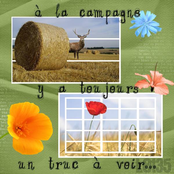 Défi Morpion de Flomelle