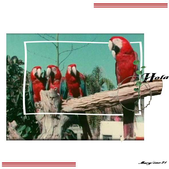 DÉFI MOYSON  fond blanc- HOLA