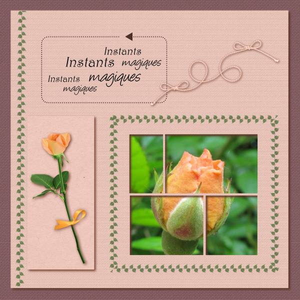 Défi Moyson perforations