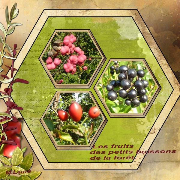 Defi Moyson ( peut petre aussi à moitié raté )