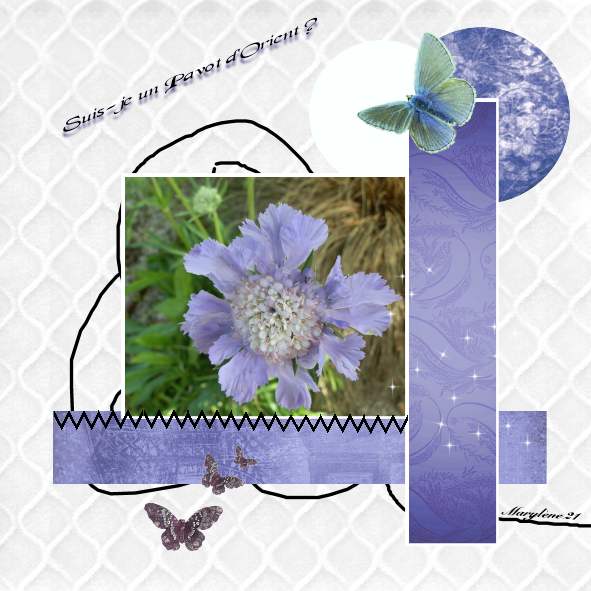 DÉFI MOYSON - QUESTION