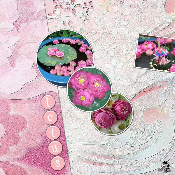 Défi Moyson Scraplift