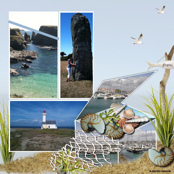 Défi Moysson --la boite à coquillages--