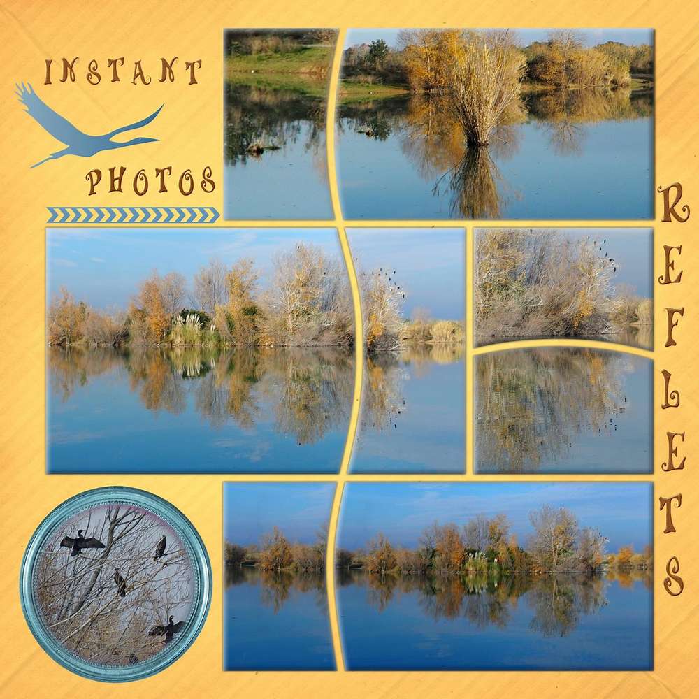 DEFI N 14 PIQUE MON N2