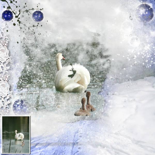 défi  Neige  Mamyrose