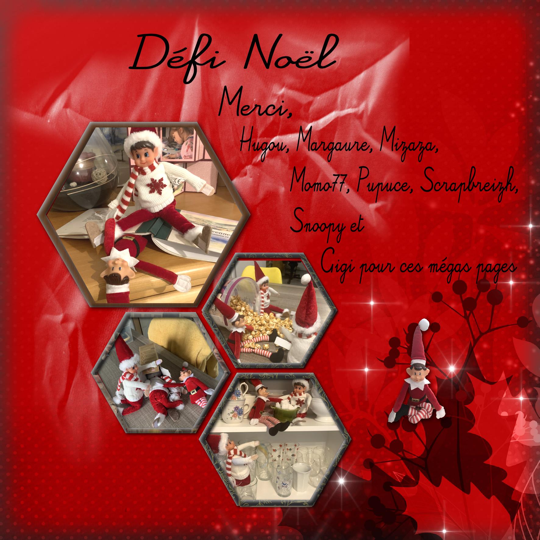 Défi Noël terminé.jpg