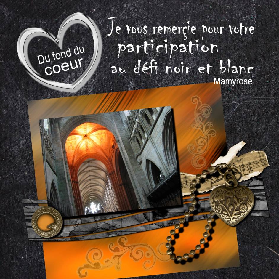 défi noir et blanc couleur