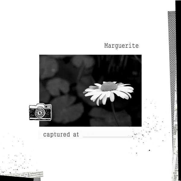 défi noir gris blanc