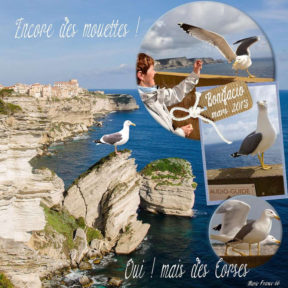 DEFI OISEAUX ET PAYSAGE DE MER