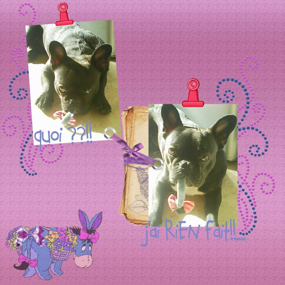 défi - pages rigolotes