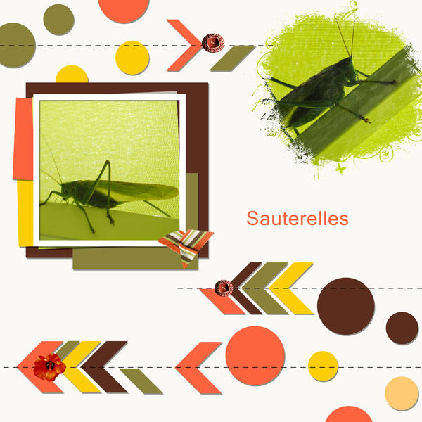 Defi palette couleurs