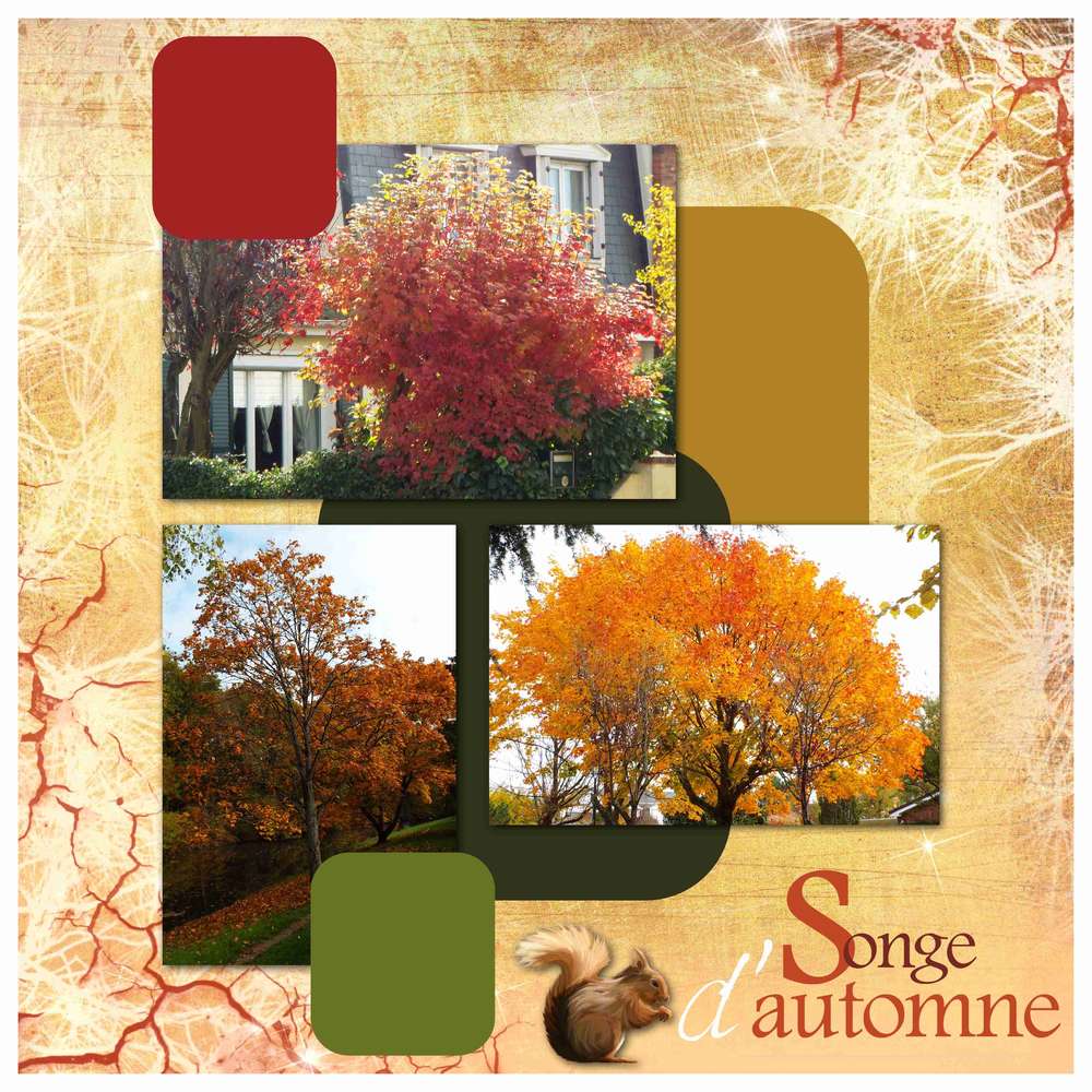 Défi Palette de Gilberte