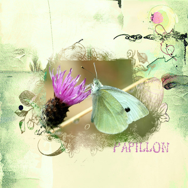 Defi Papillon laurette