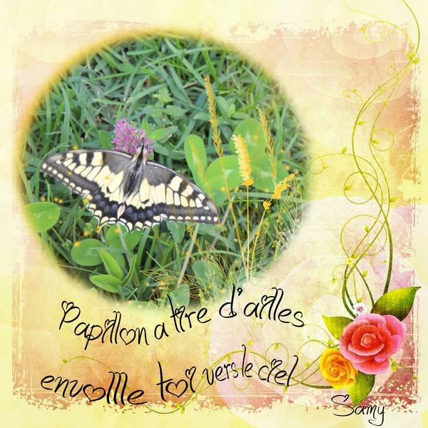 défi papillon laurette