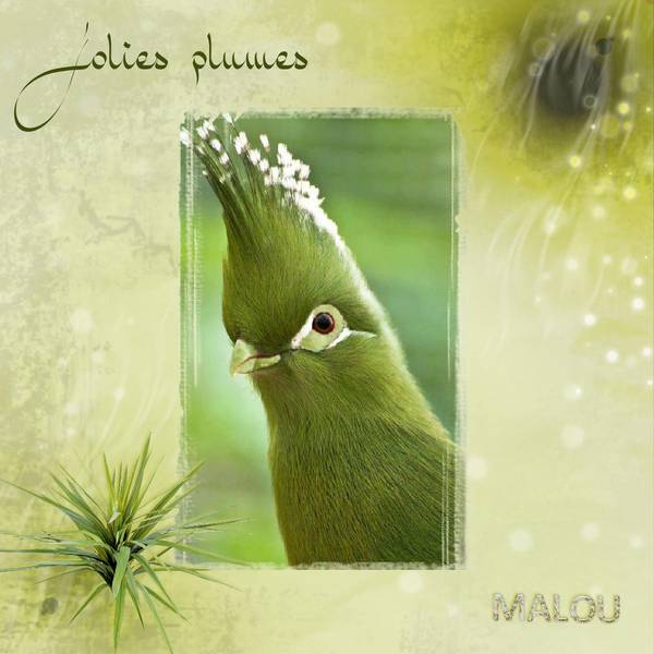 Défi Papillon n°2 (tout en vert)