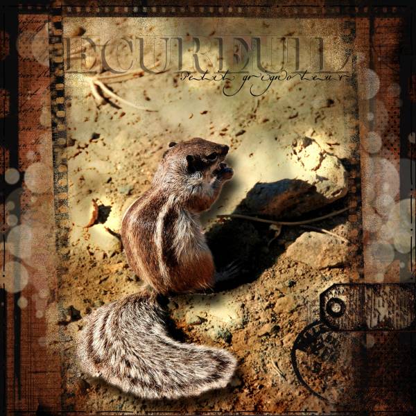 Défi papillon/Tuto Malou