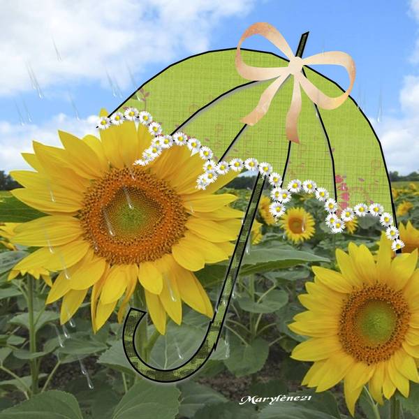 DEFI PARAPLUIE GILBERTE